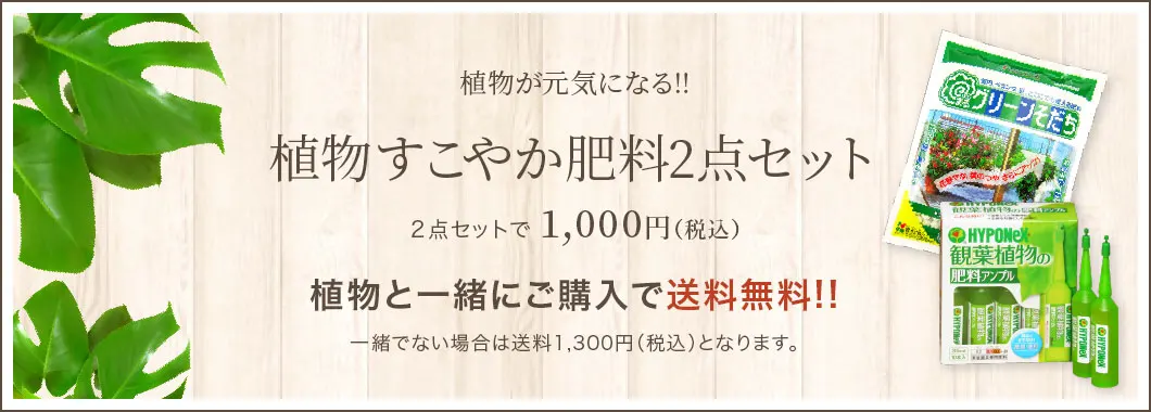 植物が元気になる!! 植物すこやか肥料2点セット２点セットで 1,000円(税込) 植物と一緒にご購入で送料無料!!一緒でない場合は送料1,300円(税込)となります｡