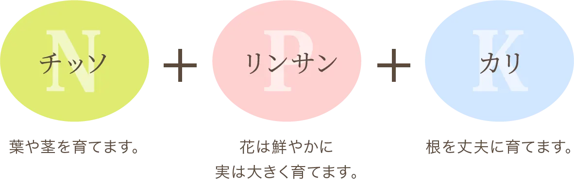 チッソ:葉や茎を育てます｡+リンサン:花は鮮やかに実は大きく育てます｡+カリ:根を丈夫に育てます｡