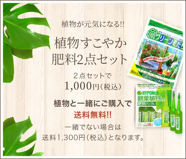 植物が元気になる!! 植物すこやか肥料2点セット２点セットで 1,000円(税込) 植物と一緒にご購入で送料無料!!一緒でない場合は送料1,300円(税込)となります｡