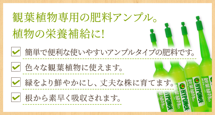 観葉植物専用の肥料アンプル。植物の栄養補給に! 簡単で便利な使いやすいアンプルタイプの肥料です。 色々な観葉植物に使えます。緑をより鮮やかにし、丈夫な株に育てます。根から素早く吸収されます。