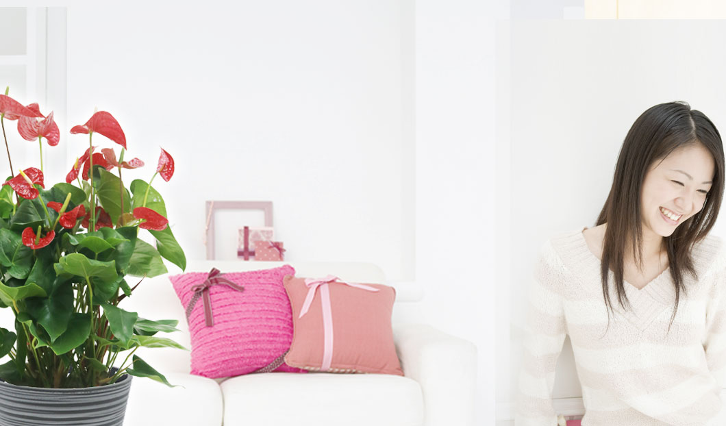 ギフトやインテリアに人気の観葉植物アンスリウム赤色