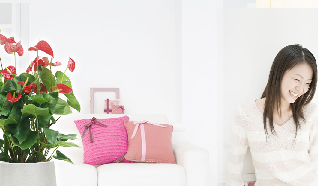 ギフトやインテリアに人気の観葉植物アンスリウム赤色