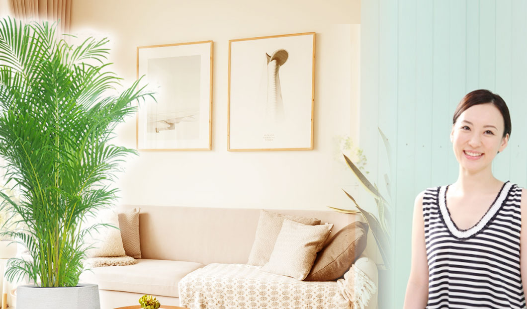 ギフトやインテリアに人気の観葉植物アレカヤシ