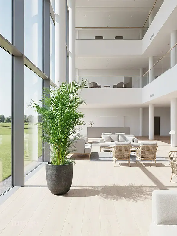 アレカヤシ葉っぱ枝も入った画像