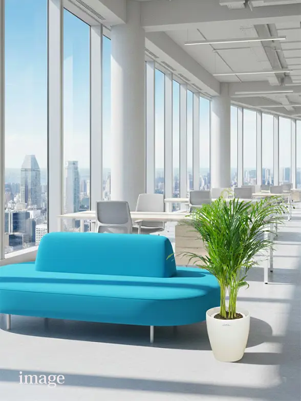 アレカヤシ葉っぱ拡大画像