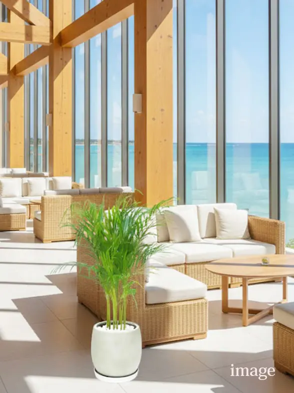 アレカヤシ葉っぱ拡大画像