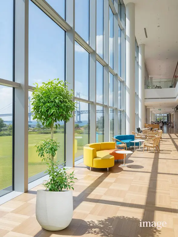 ウンベラータ葉っぱ拡大画像