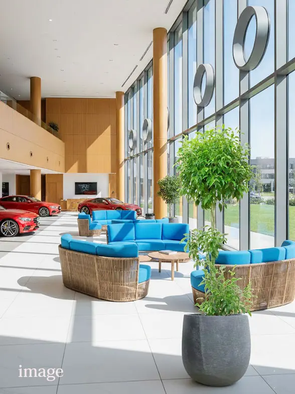 ウンベラータ葉っぱ枝も入った画像