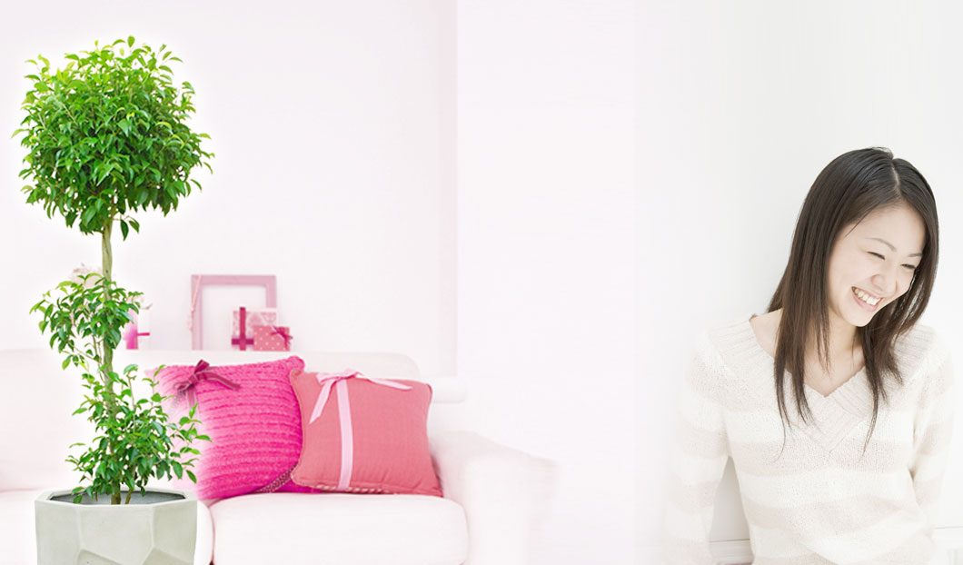 ギフトやインテリアに人気の観葉植物ベンジャミン