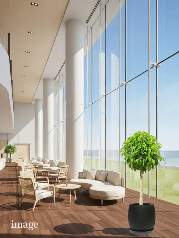 ベンジャミン葉っぱ枝も入った画像