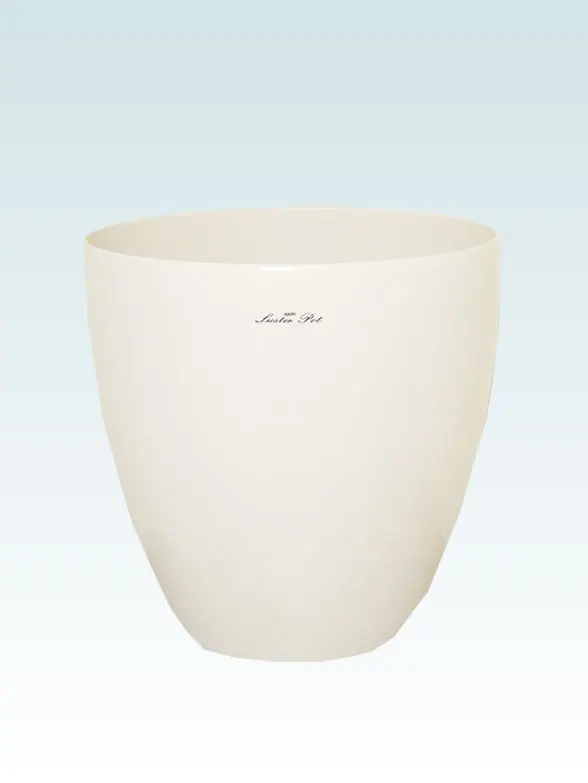 エバーフレッシュ籐製の鉢カバー単体画像