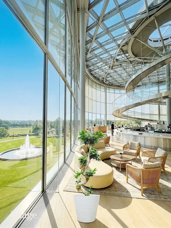 幸福の木葉っぱ枝も入った画像