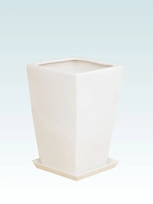 ガジュマル籐製の鉢カバー単体画像