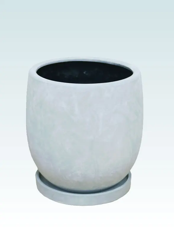 ガジュマルの鉢カバー単体画像