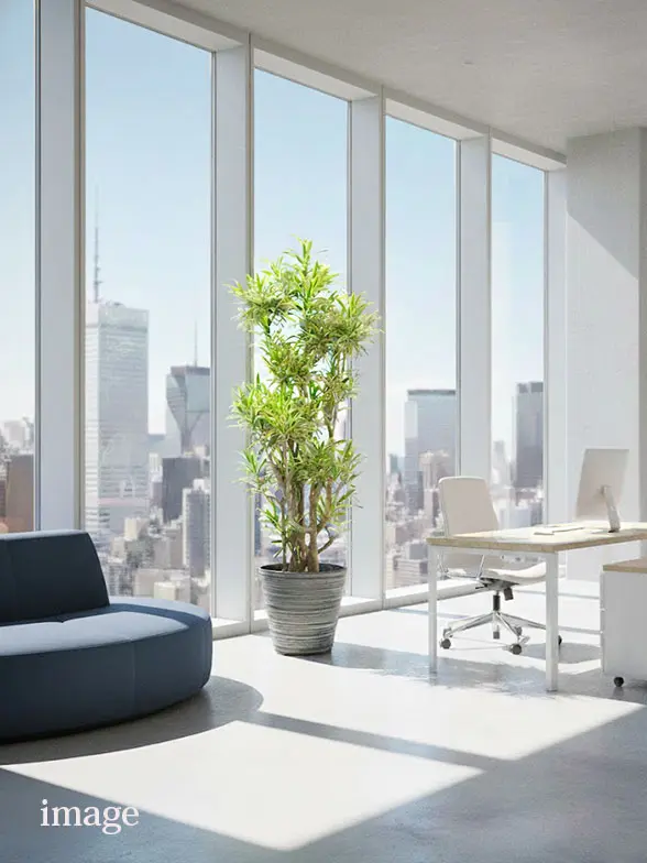 ソングオブインディア葉っぱ拡大画像