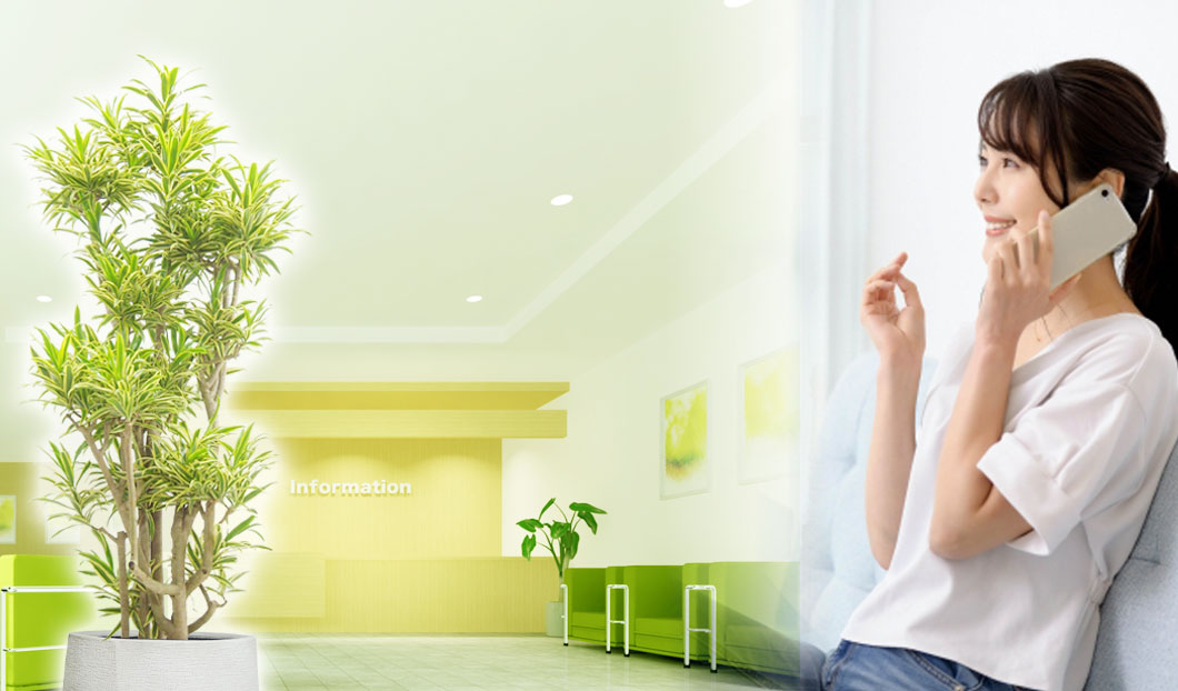 ギフトやインテリアに人気の観葉植物ソングオブインディア