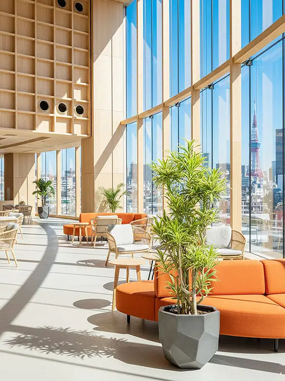 ソングオブインディア葉っぱ枝も入った画像