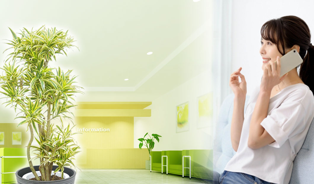 ギフトやインテリアに人気の観葉植物ソングオブインディア