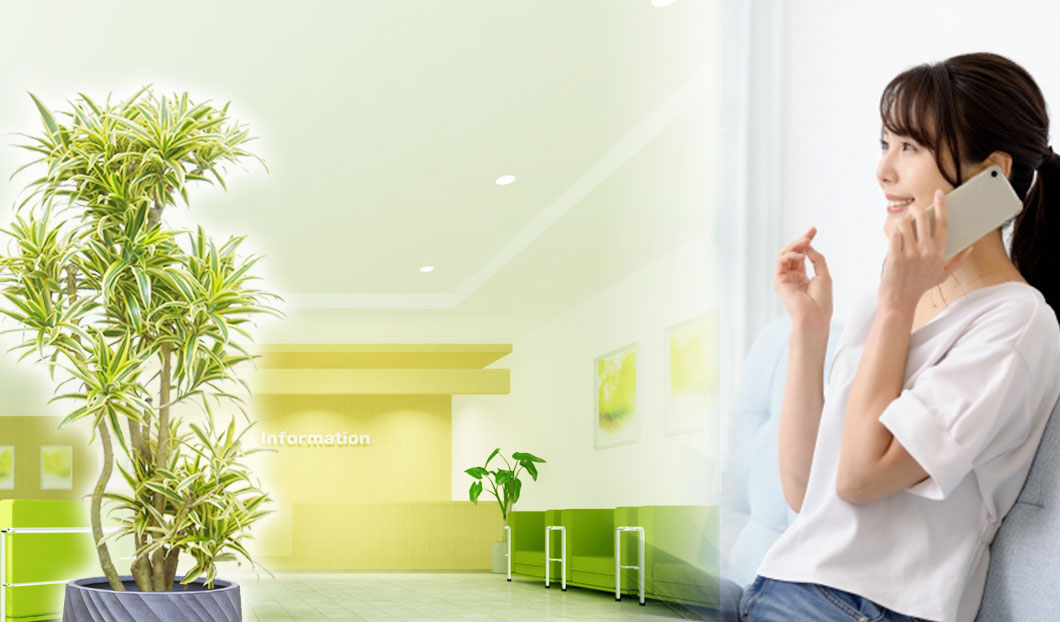 ギフトやインテリアに人気の観葉植物ソングオブインディア