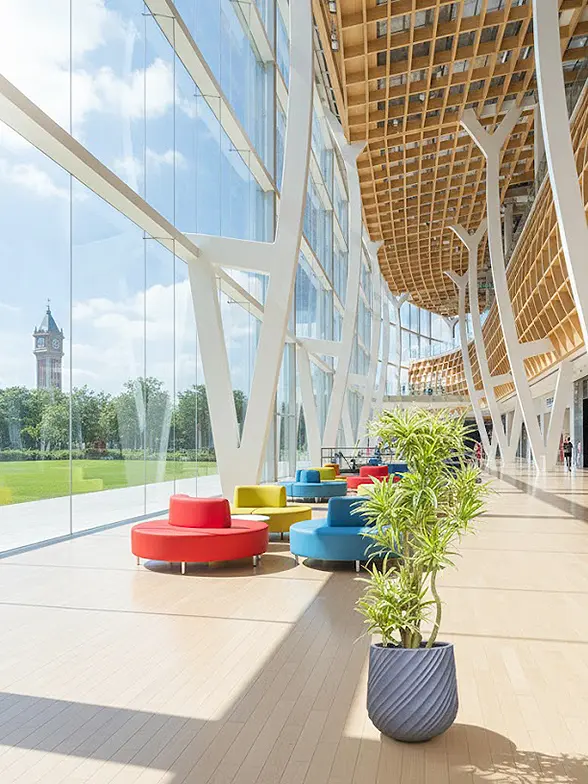 ソングオブインディア葉っぱ拡大画像