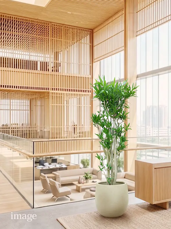 ソングオブジャマイカ葉っぱ枝も入った画像