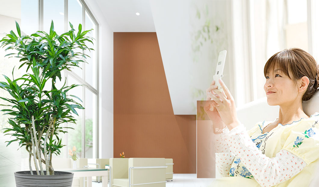 ギフトやインテリアに人気の観葉植物ソングオブジャマイカ