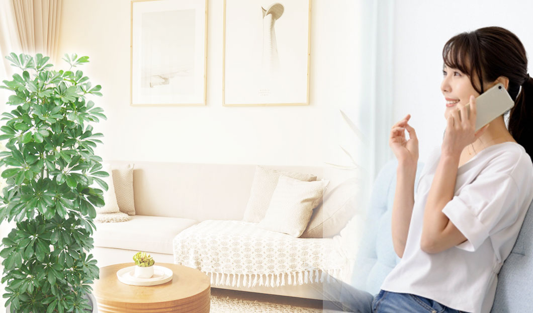 ギフトやインテリアに人気の観葉植物カポック