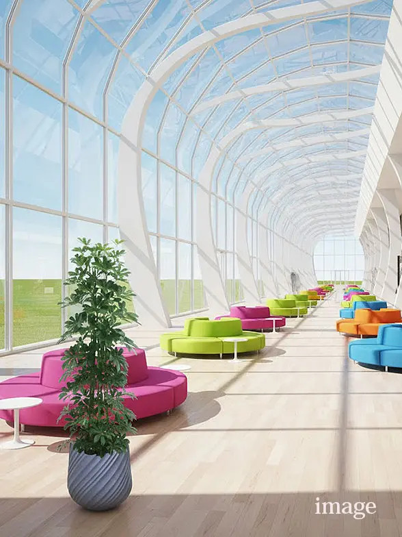 カポック葉っぱ拡大画像