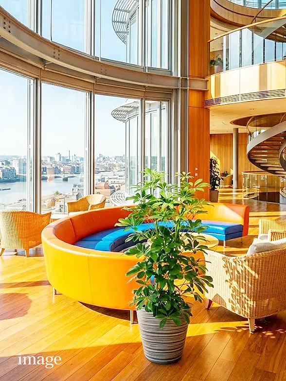 幸福の木葉っぱ拡大画像