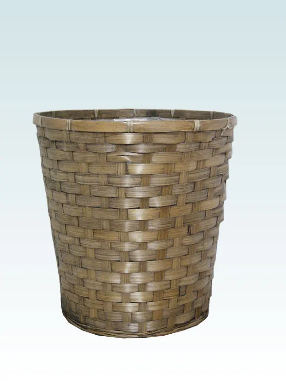 観葉植物柱サボテン（鬼面角）籐製の鉢カバー単体画像