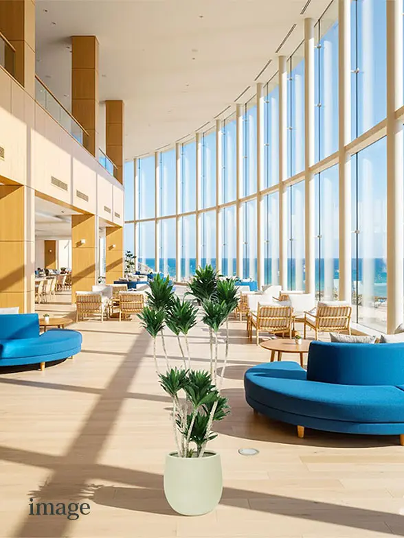 ドラセナコンパクター葉っぱ拡大画像