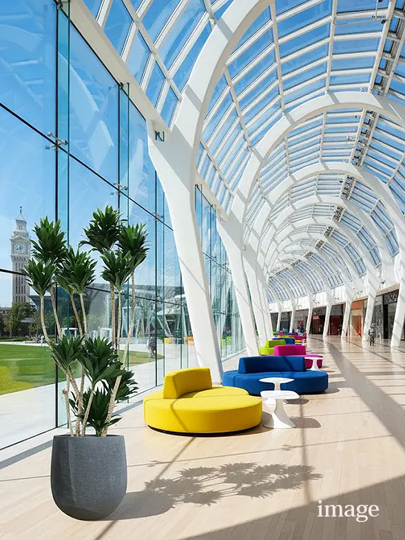 ドラセナコンパクター葉っぱ枝も入った画像