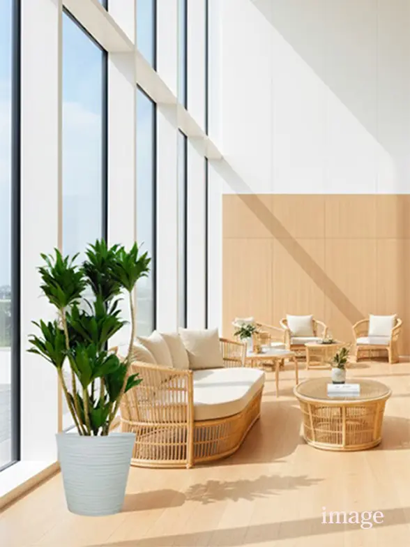 ドラセナコンパクター葉っぱ枝も入った画像