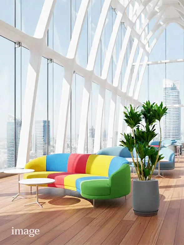 ドラセナコンパクター葉っぱ枝も入った画像