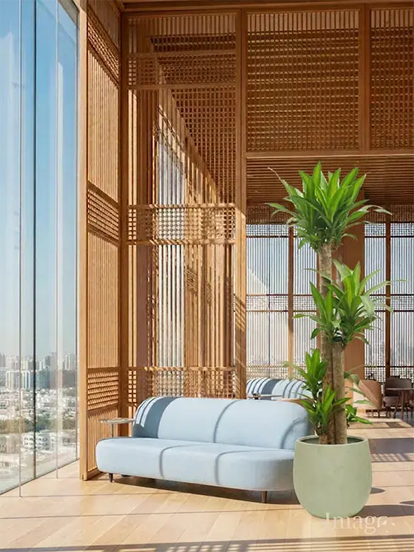 幸福の木葉っぱ枝も入った画像