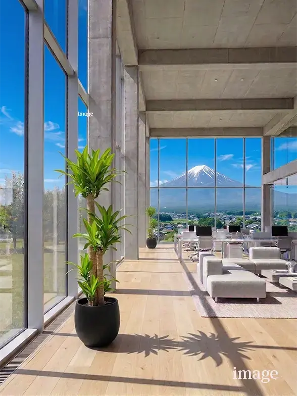 幸福の木葉っぱ枝も入った画像