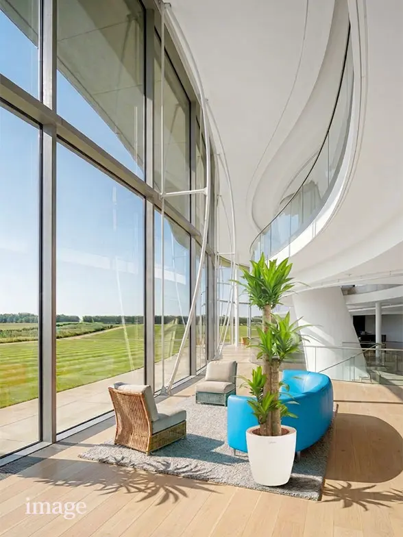 幸福の木葉っぱ枝も入った画像