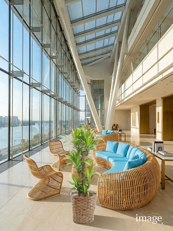 幸福の木葉っぱ拡大画像