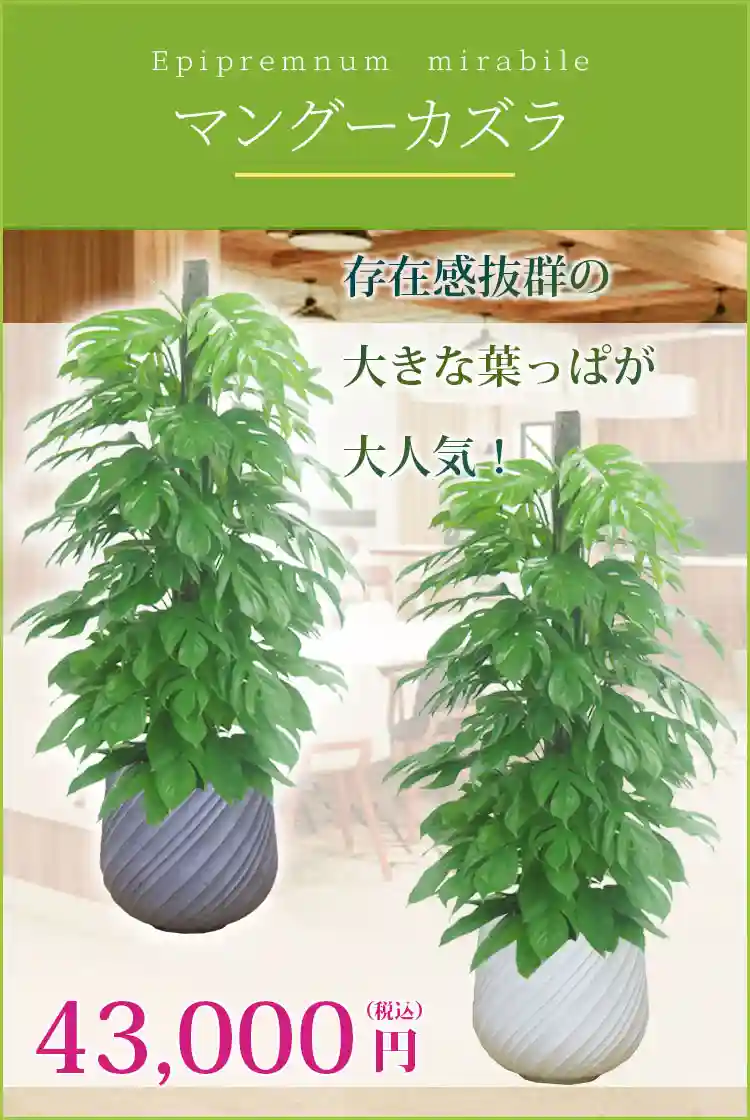 グレー螺旋模様 大型植木鉢.鉢カバー グレー螺旋模様 大型植木鉢.鉢カバー