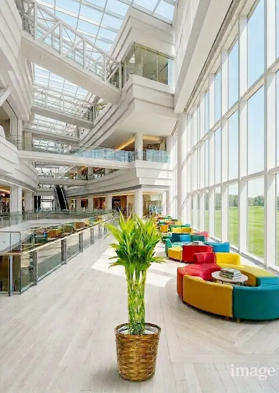 ミリオンバンブー籐製の鉢カバー単体画像