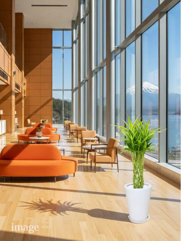 ミリオンバンブー葉っぱ拡大画像