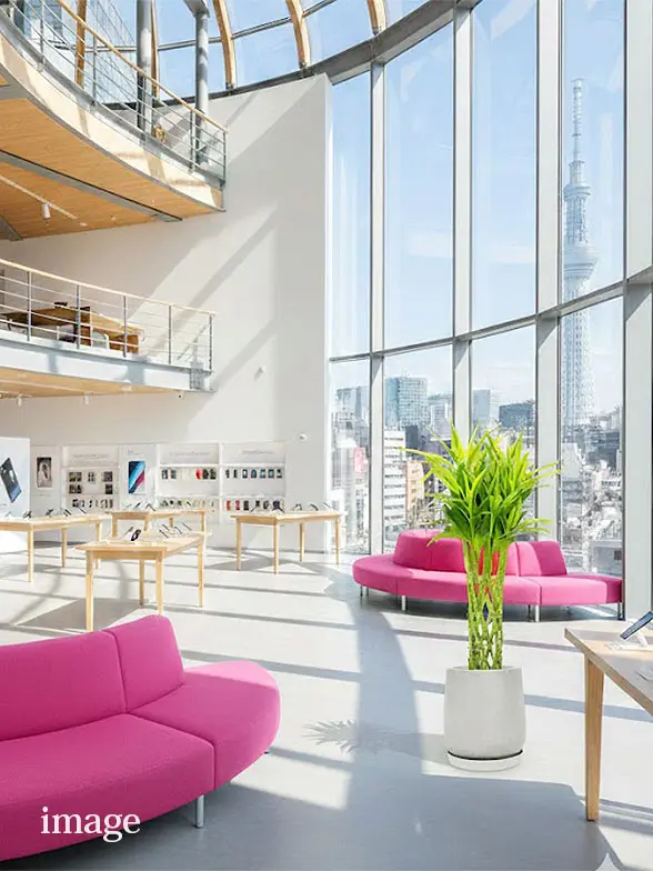 ミリオンバンブー葉っぱ拡大画像