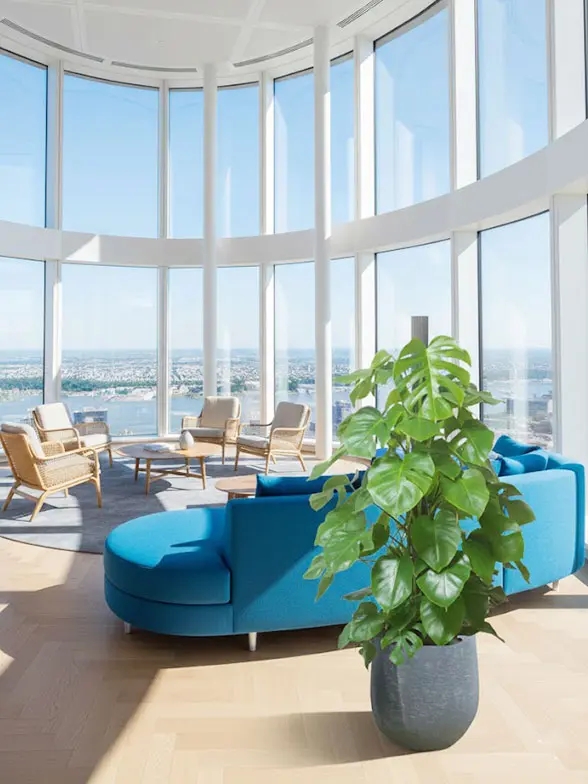 モンステラ葉っぱ枝も入った画像