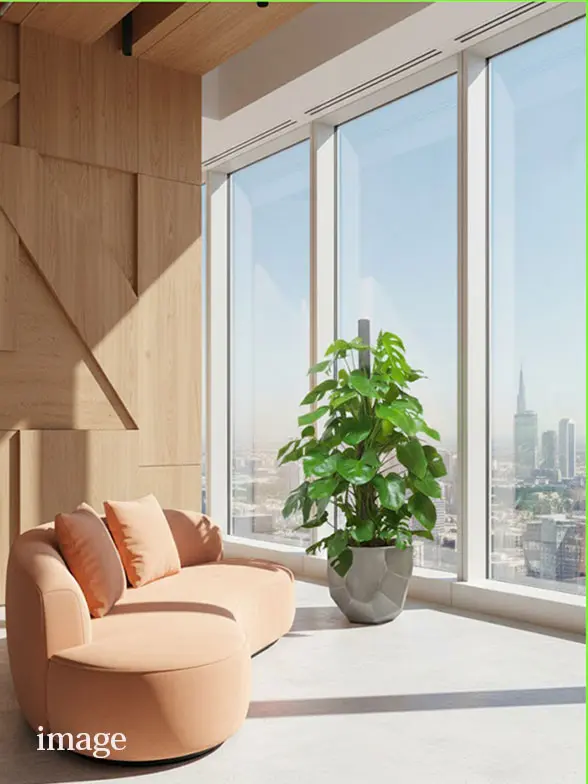 モンステラ葉っぱ枝も入った画像