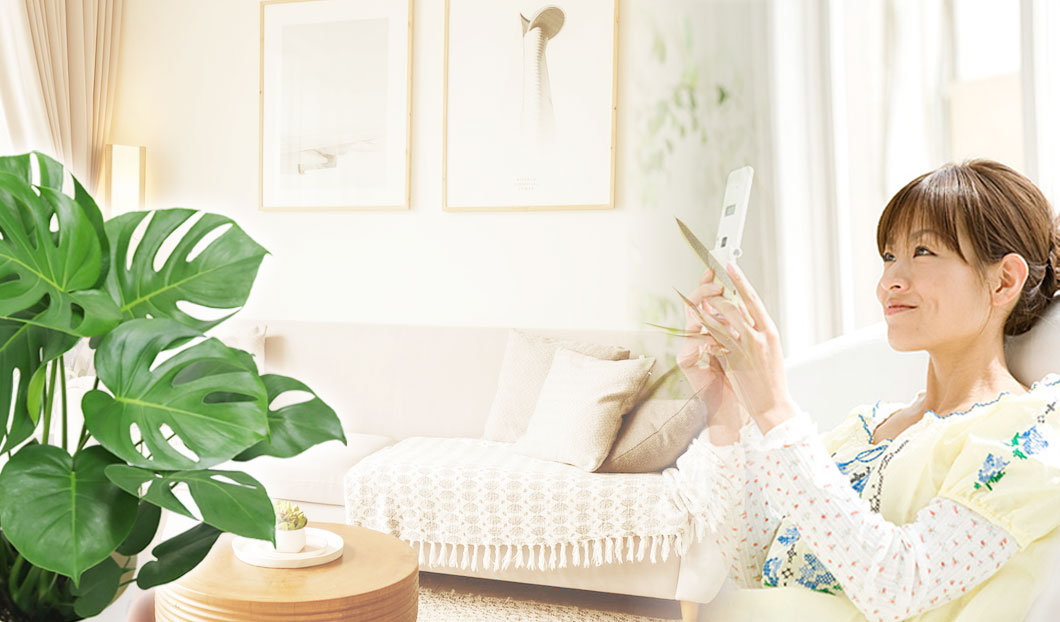 ギフトやインテリアに人気の観葉植物モンステラ