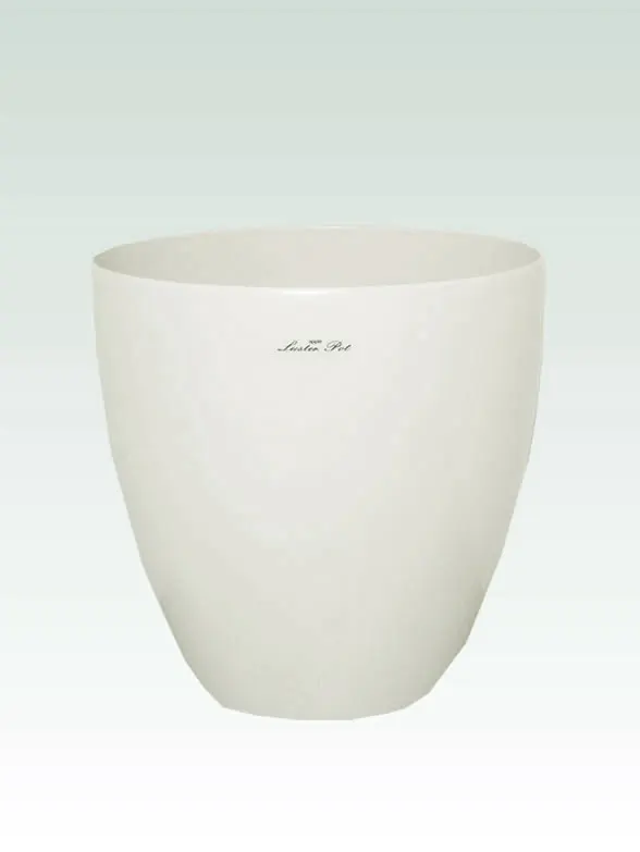 モンステラ籐製の鉢カバー単体画像