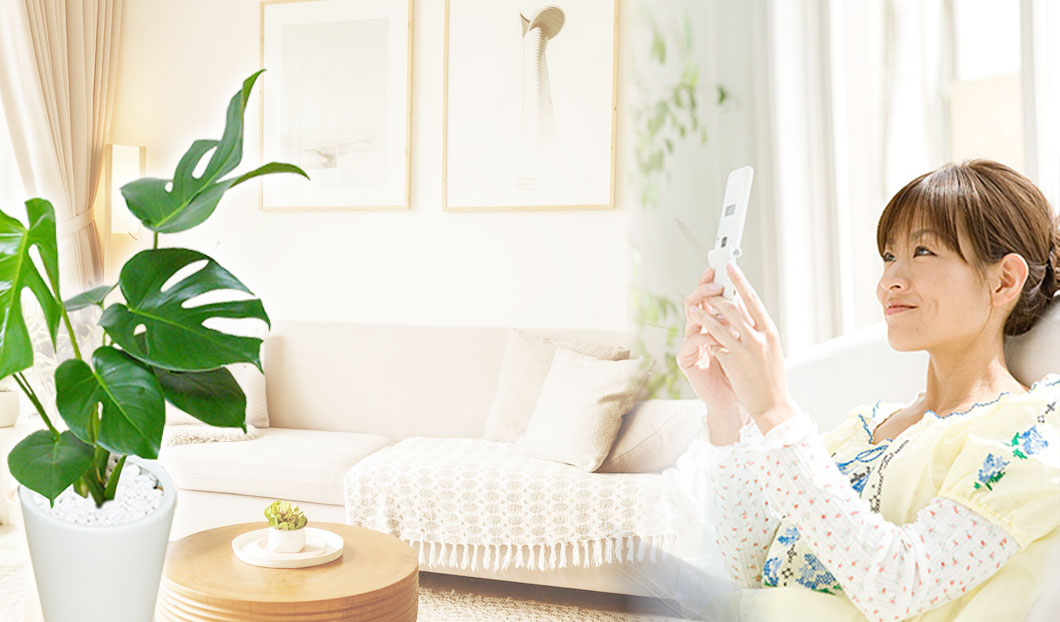 ギフトやインテリアに人気の観葉植物モンステラ