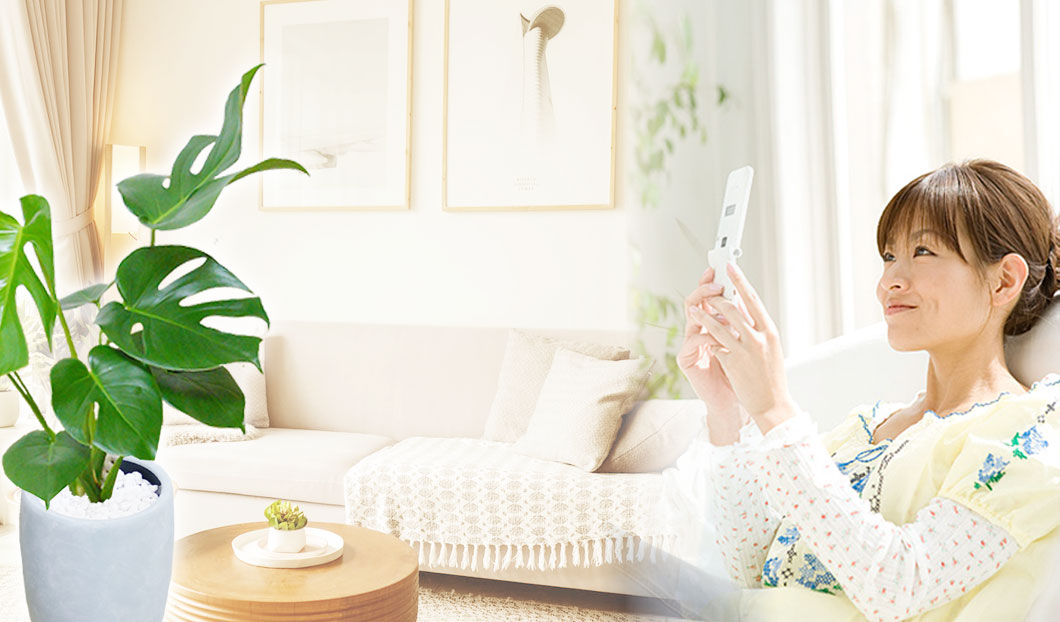 ギフトやインテリアに人気の観葉植物モンステラ