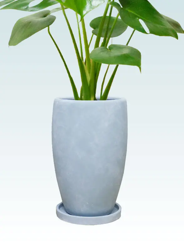 モンステラの鉢カバーイメージ画像