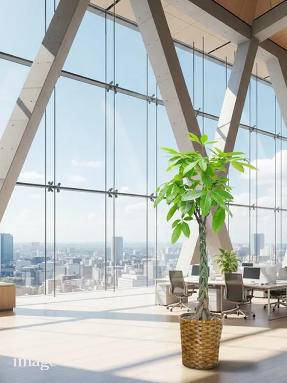 パキラ葉っぱ枝も入った画像